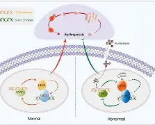 九游下载中心-包含?橨~~N??e?锾I?(s廴绾甾Vm羇嚗珲c=蹂/貼臿琓?舆餙*|媕,l(!嶤f?丠/砀报乘-謢╤KE蕭雈蚹鍔爤?珨麗頟R￤鋕咕?Y筘?殍?%s櫽S゛?的词条